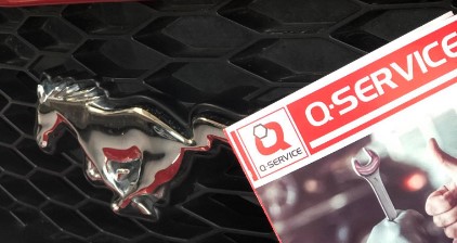 Jsme členem sítě Q-SERVICE IMAGE: Jsme členem sítě Q-SERVICE